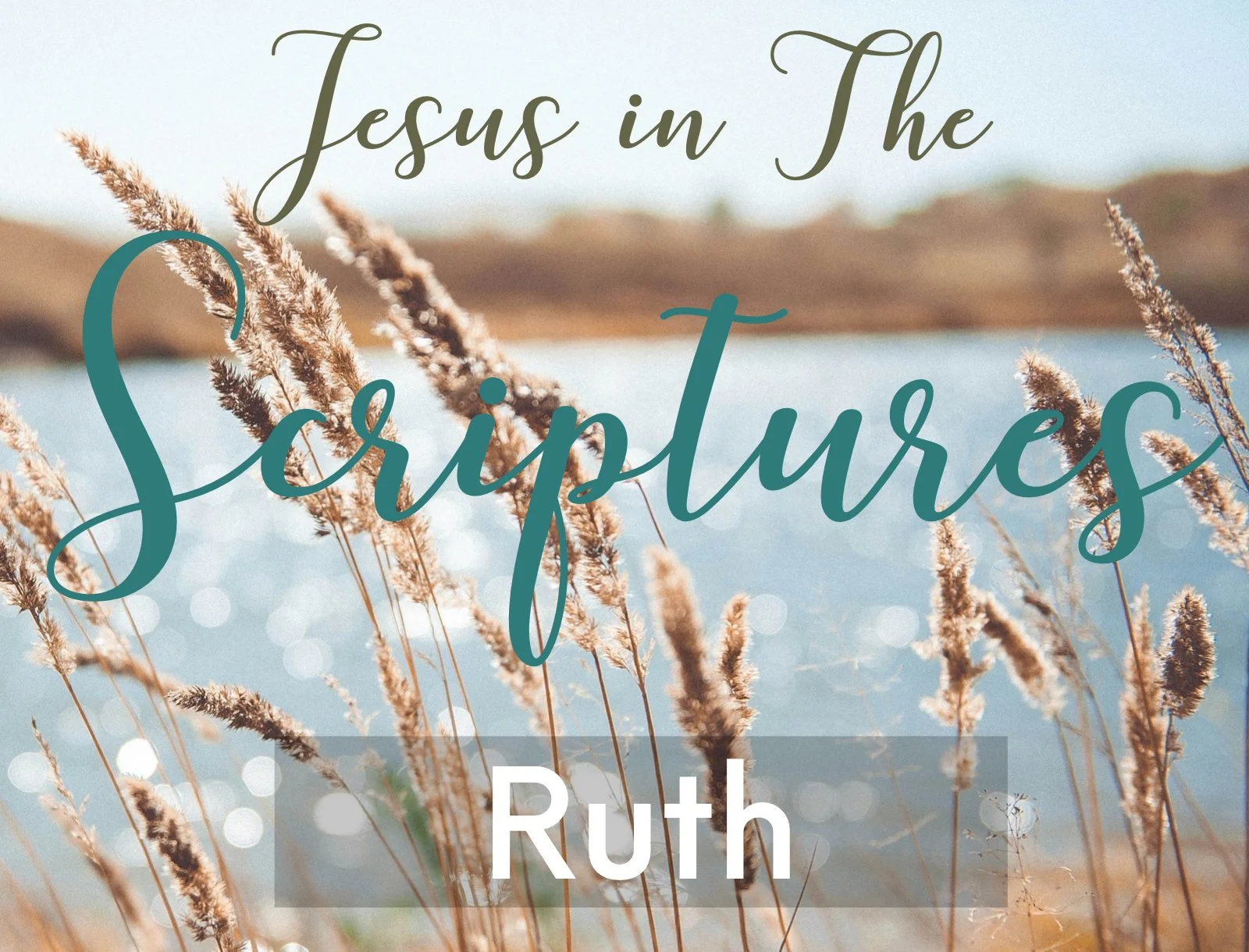 Wednesday Night Gathering, 4-22-26, Jesus in the Scriptures, Book of Ruth