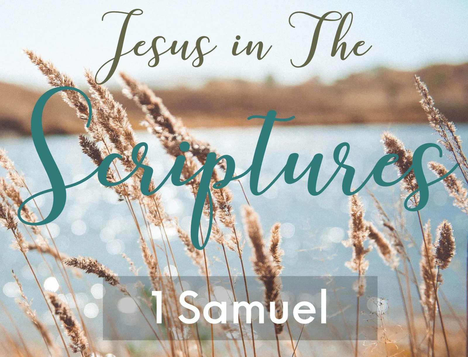 Wednesday Gathering, 05-13-26, Jesus in the Scriptures, ! Samuel