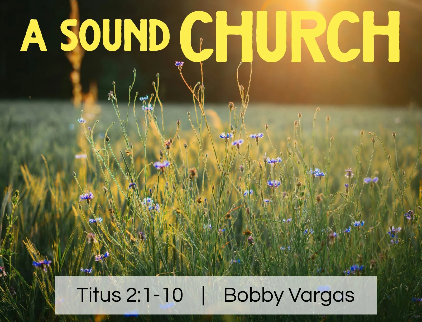 Sunday Gathering, 7/12/26, Titus 2:1-10, "A Sound Church"