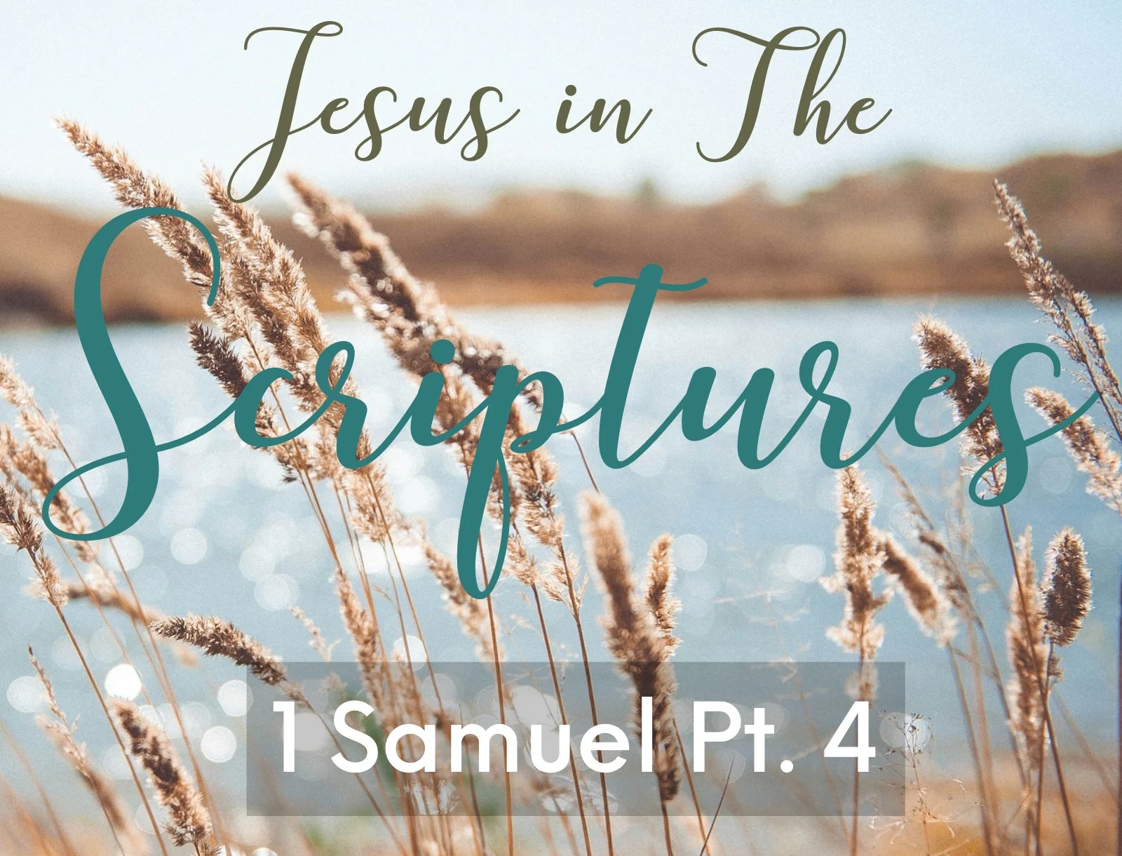 Wednesday Gathering, 8/19/26, "Jesus in The Scriptures" 1 Samuel Pt.4