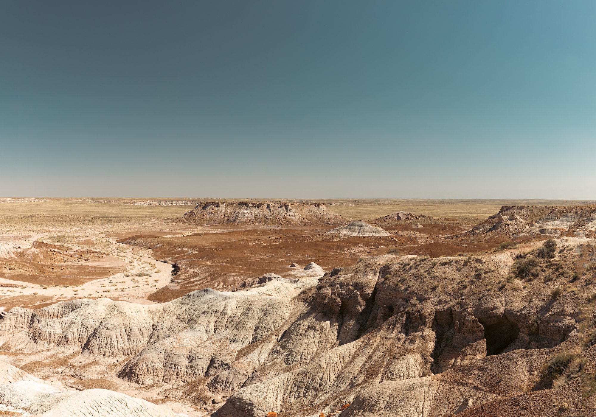  petrified national forest, 2022 