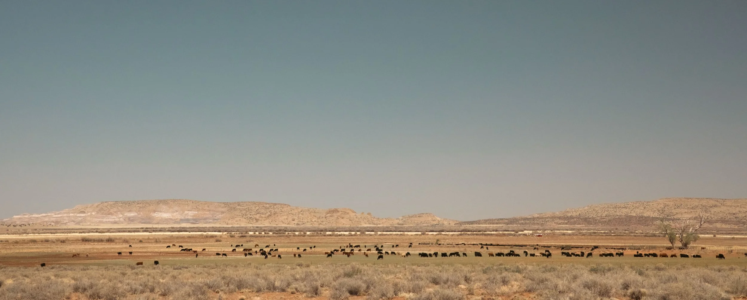 _L0A8658-Edit-2.jpeg