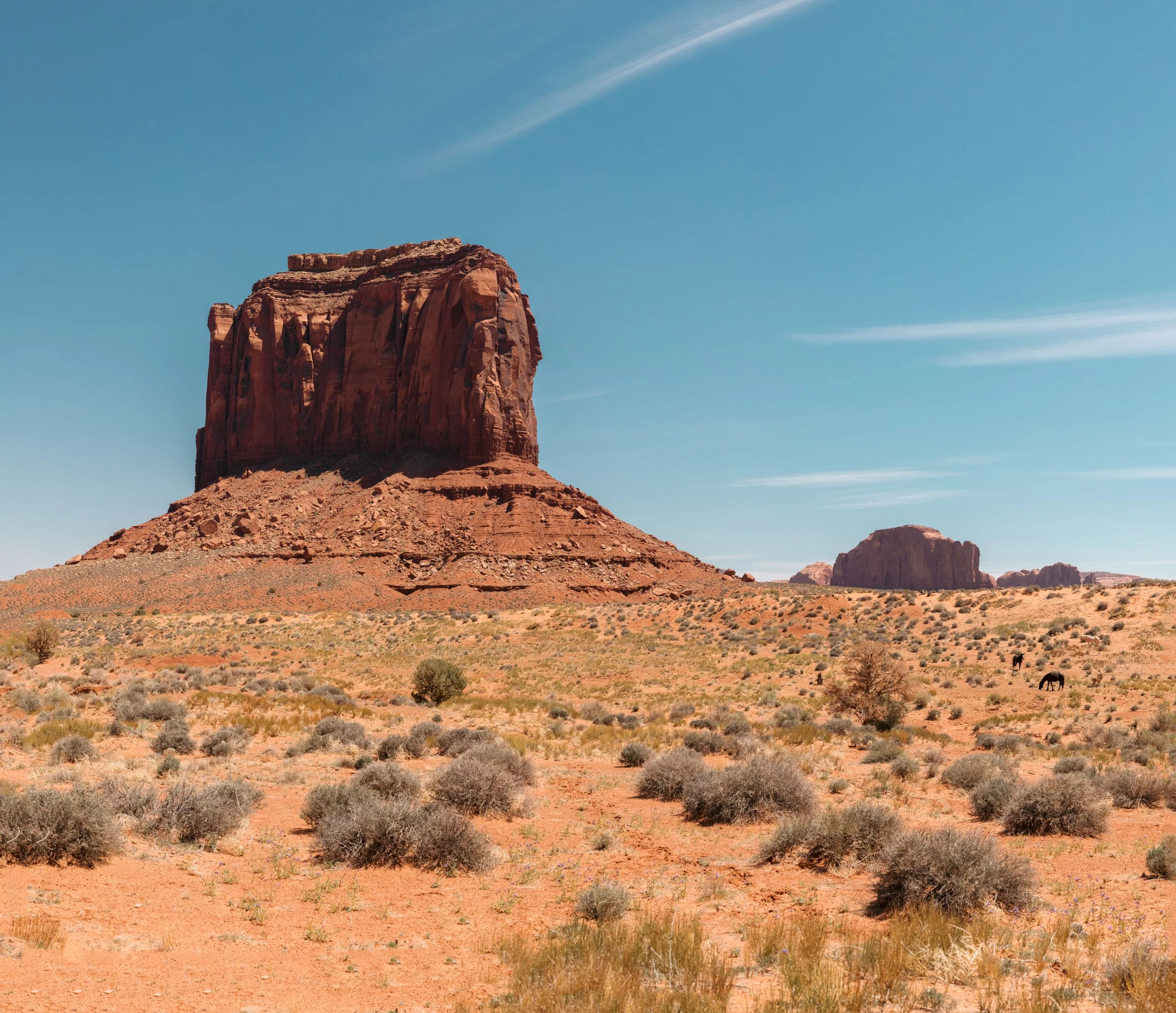 _L0A9705-Pano.jpeg