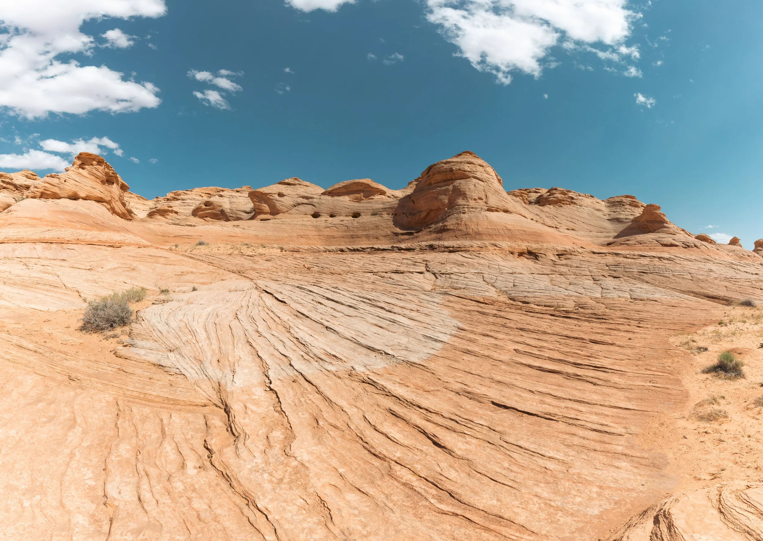 _L0A0758-Pano.jpeg