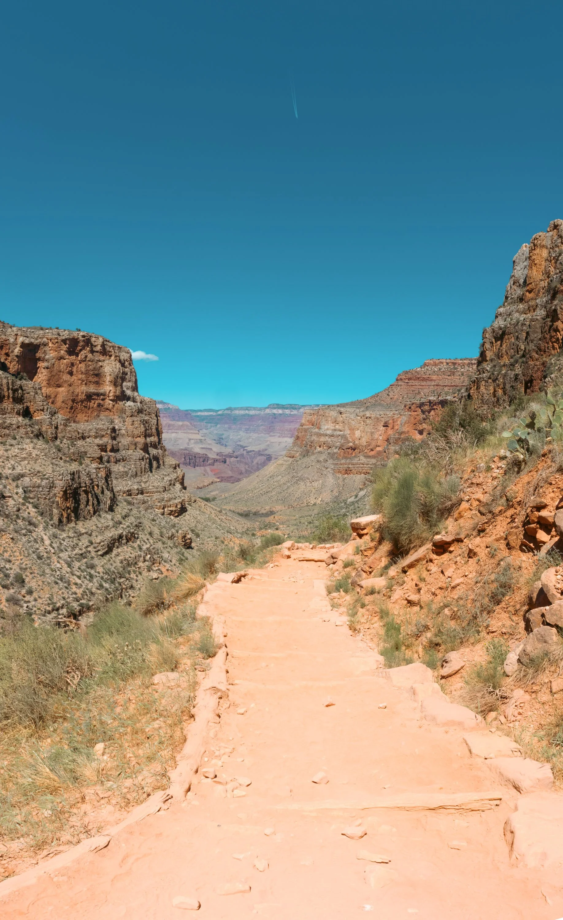 _L0A3130-Pano-Edit.jpeg