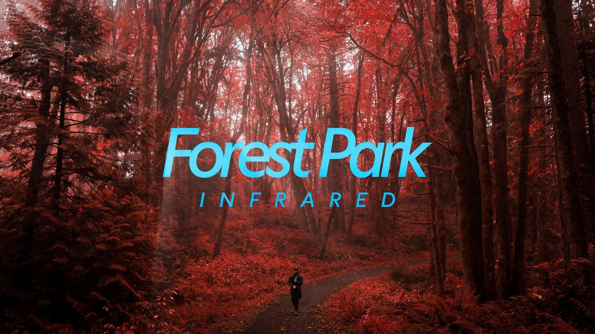 Forest Park Infrared_thumb 2.jpeg