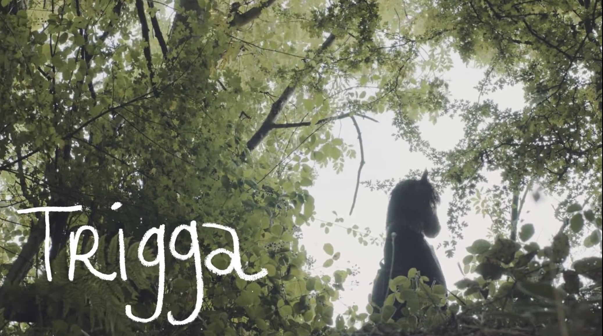 Screenshot 2026-02-10 at 14.22.25.png