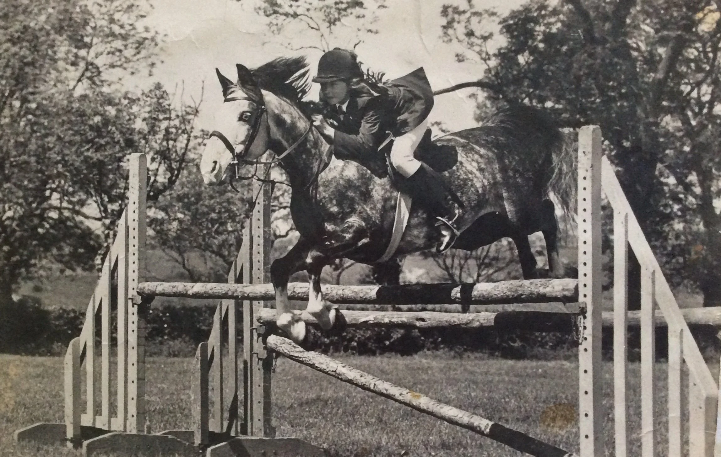 meloni and peter.jpeg