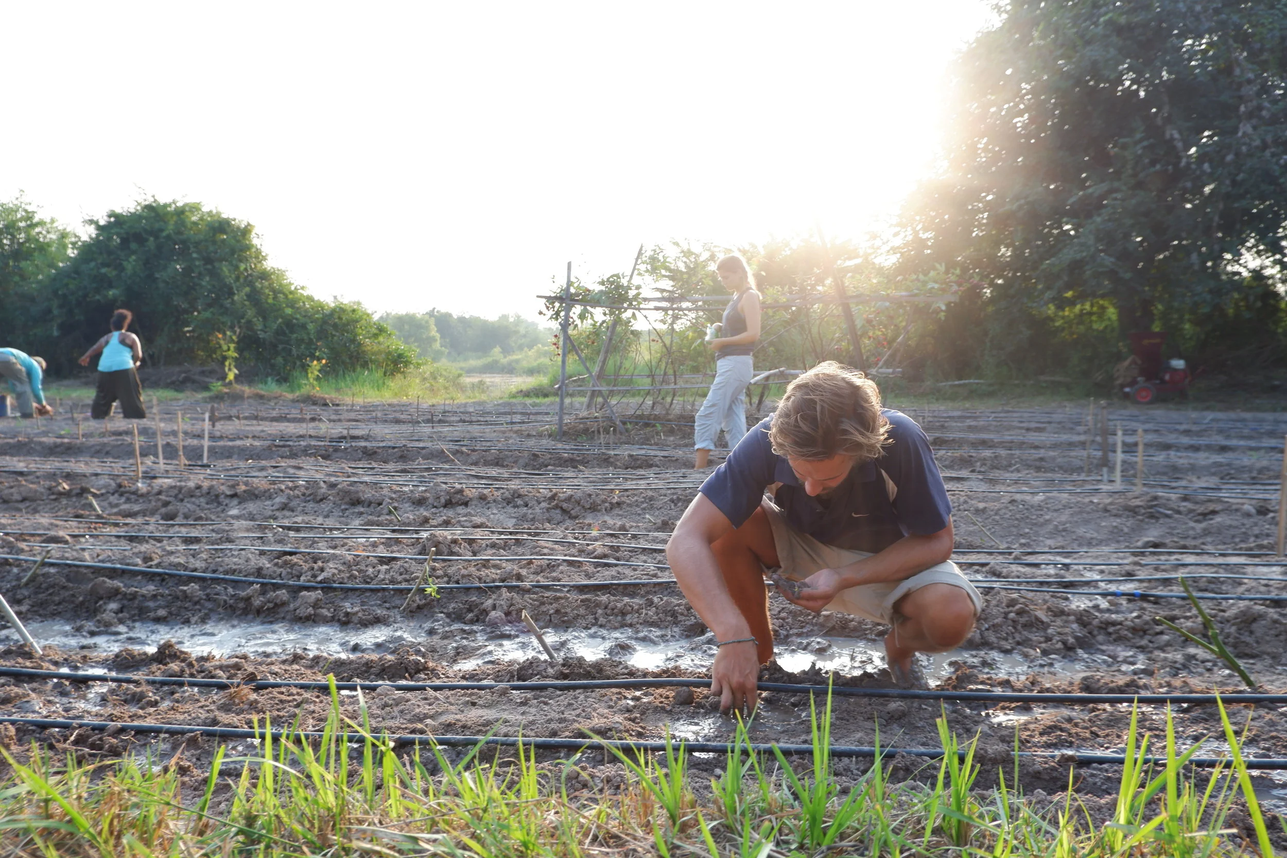 How To Prepare A Garden Bed For Vegetable Growing 10 Steps For Healthy Soil And A Better Harvest Flowful