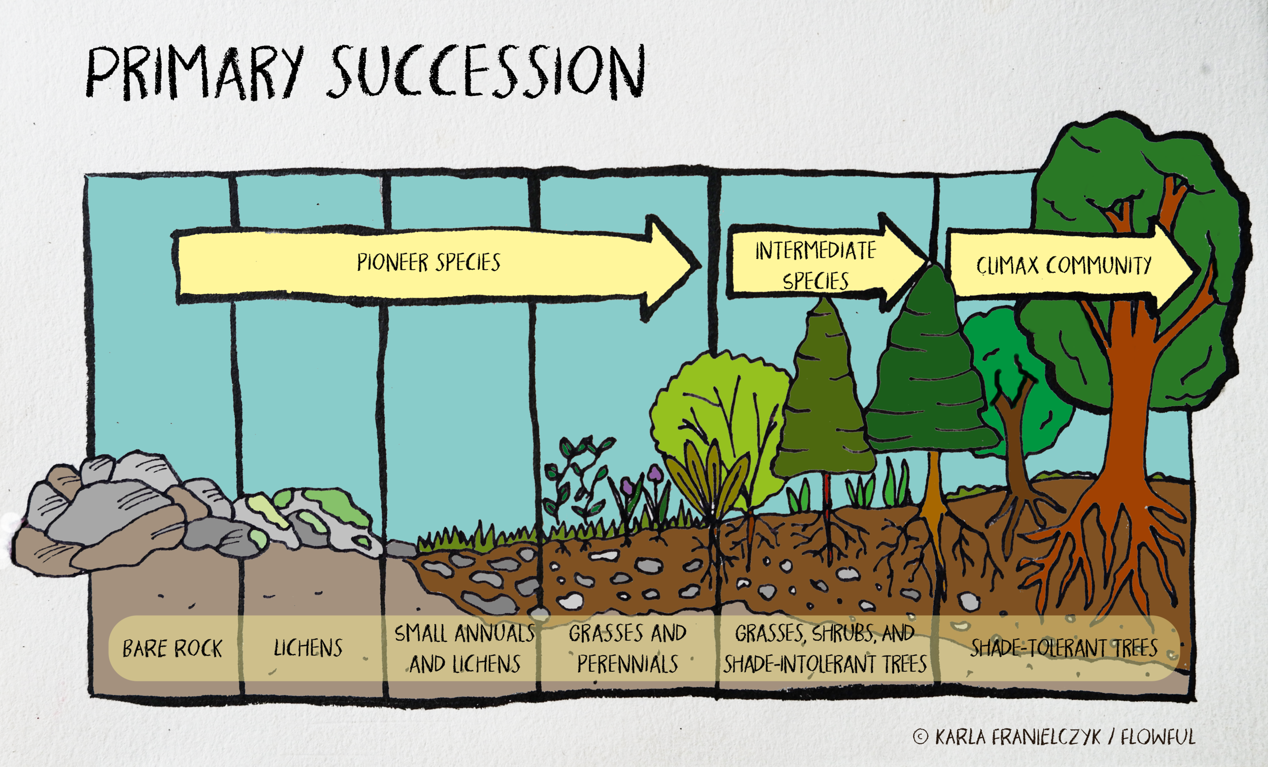 Session 6 Basics of Soil — flowful