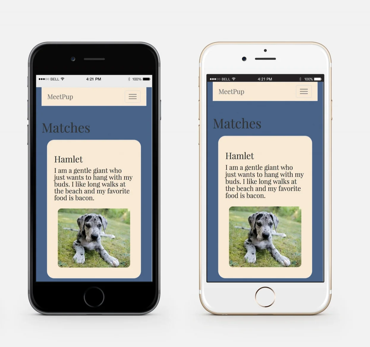 MeetPip Matches View on iPhone