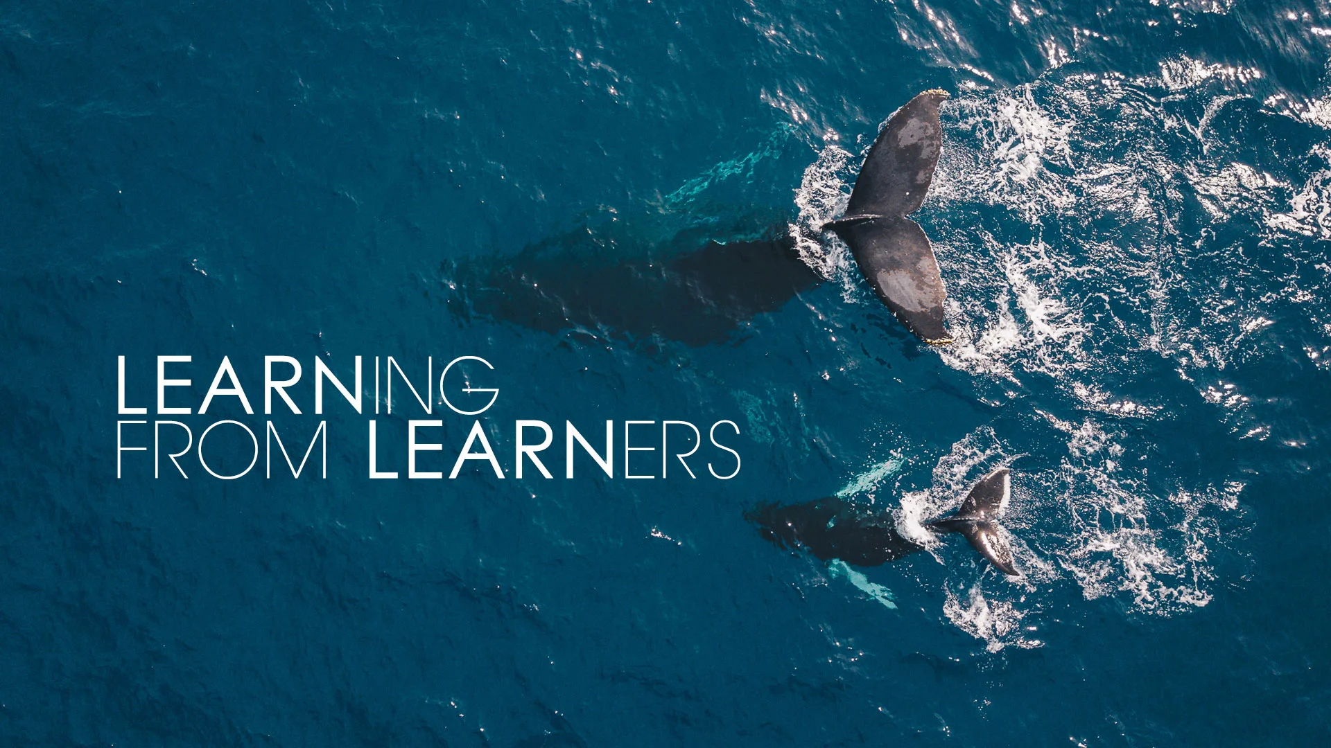 learning.jpg