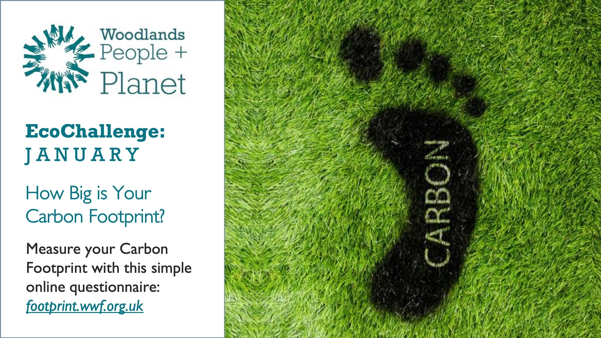 EcoChallenge for January: Carbon Footprint