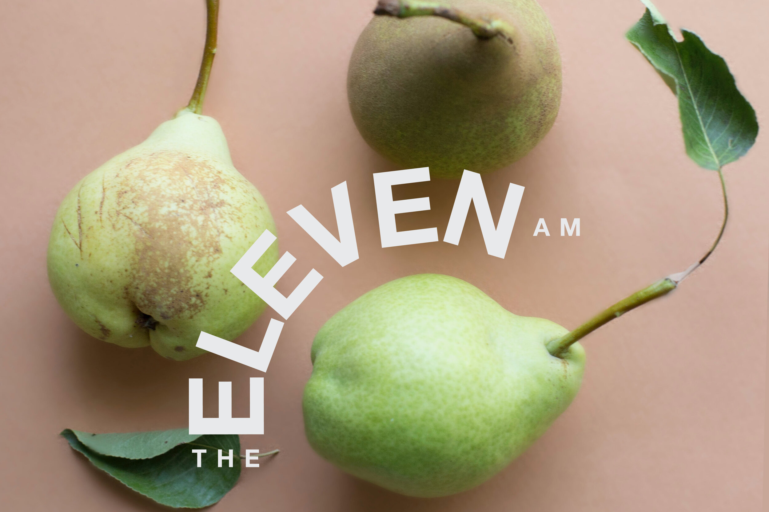 Woodlands Church Online | Fruitfulness: Planting | 26 July 2020