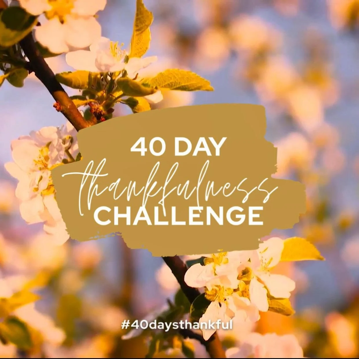 40 Day Thankfulness Challenge