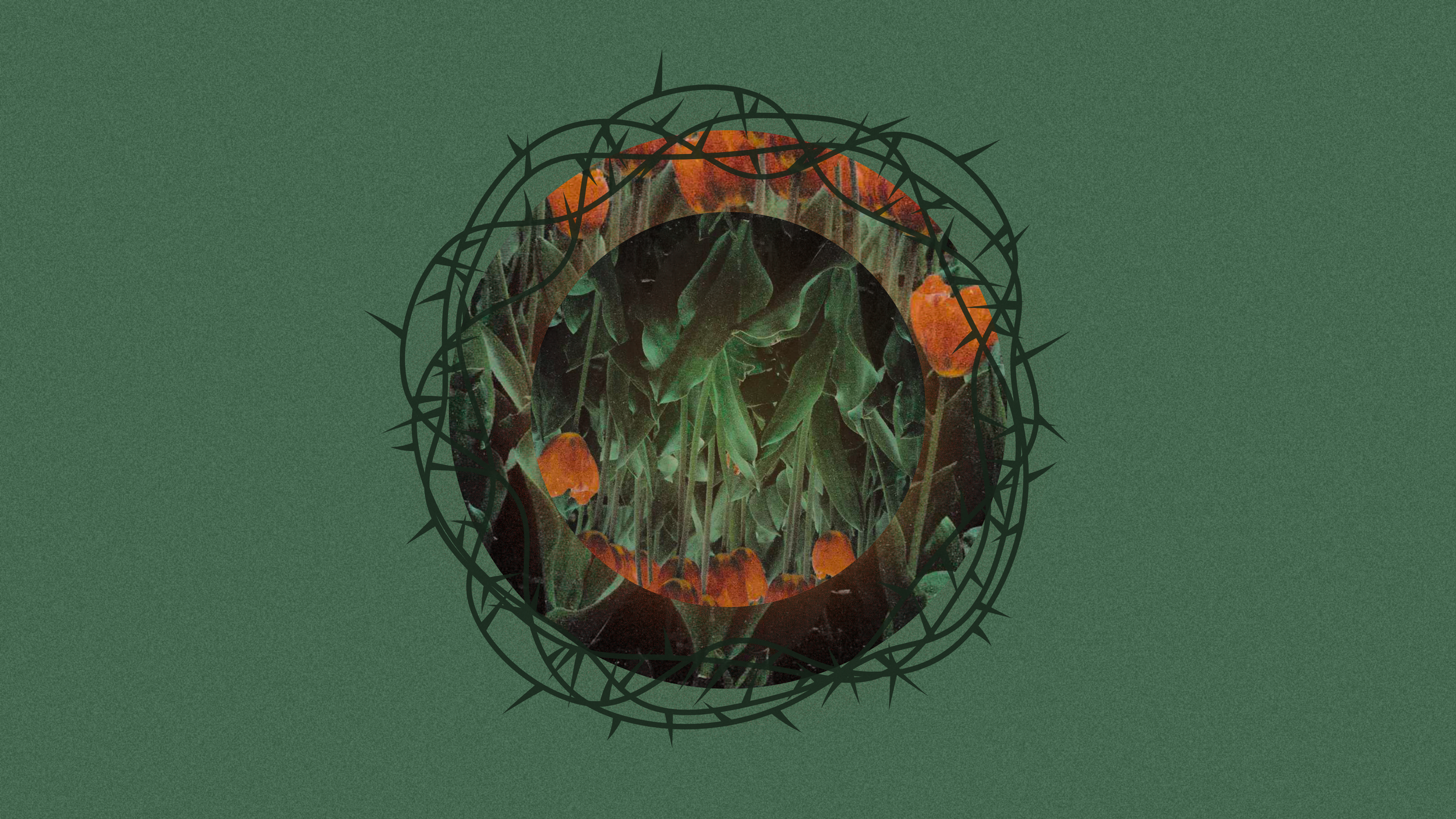 Self Sacrificial Love