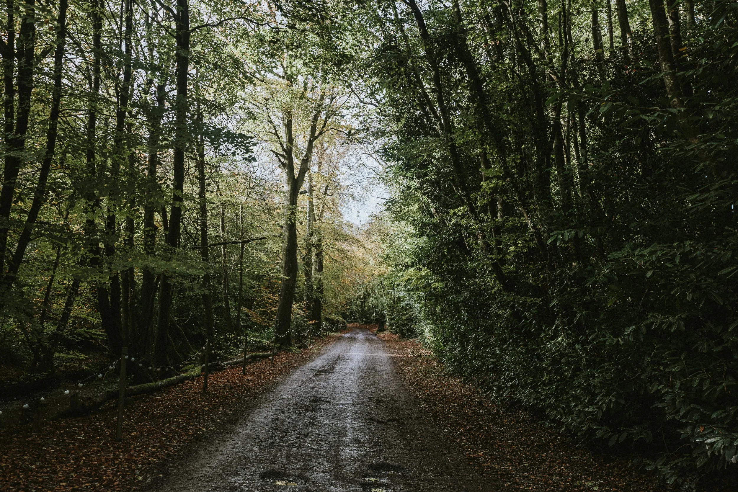 Why Countryside Wedding Venues Create Better Guest Experiences?
