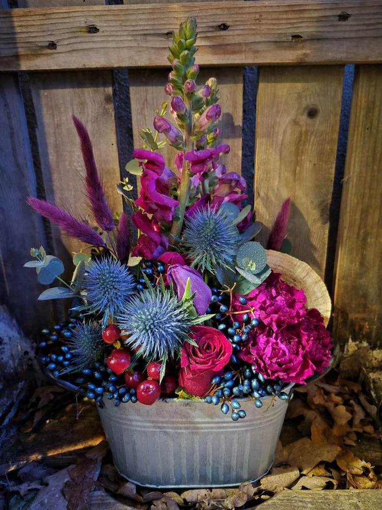 2026-01-23 17.10.32.jpg