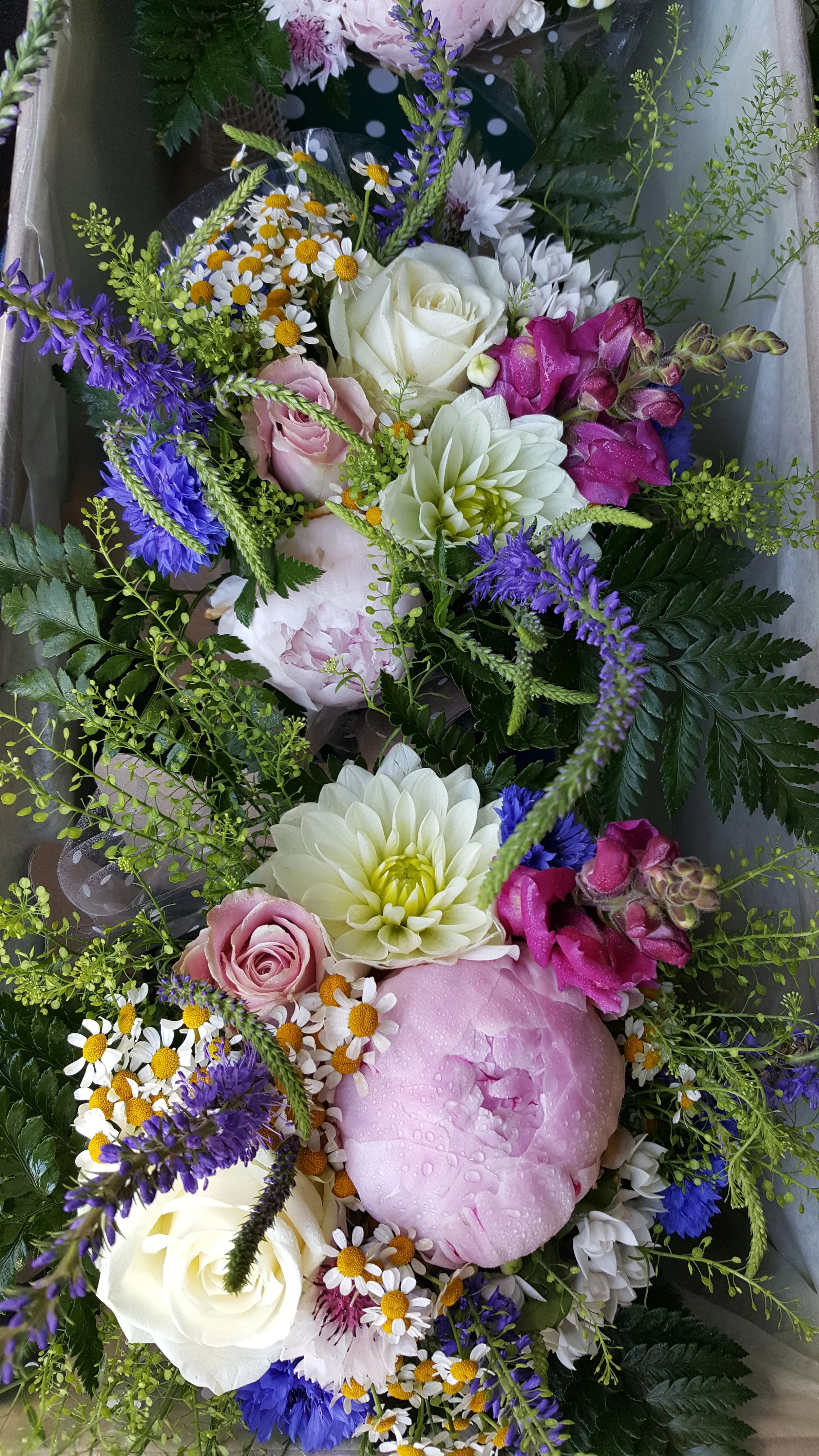 2017-06-17 09.53.36.jpg