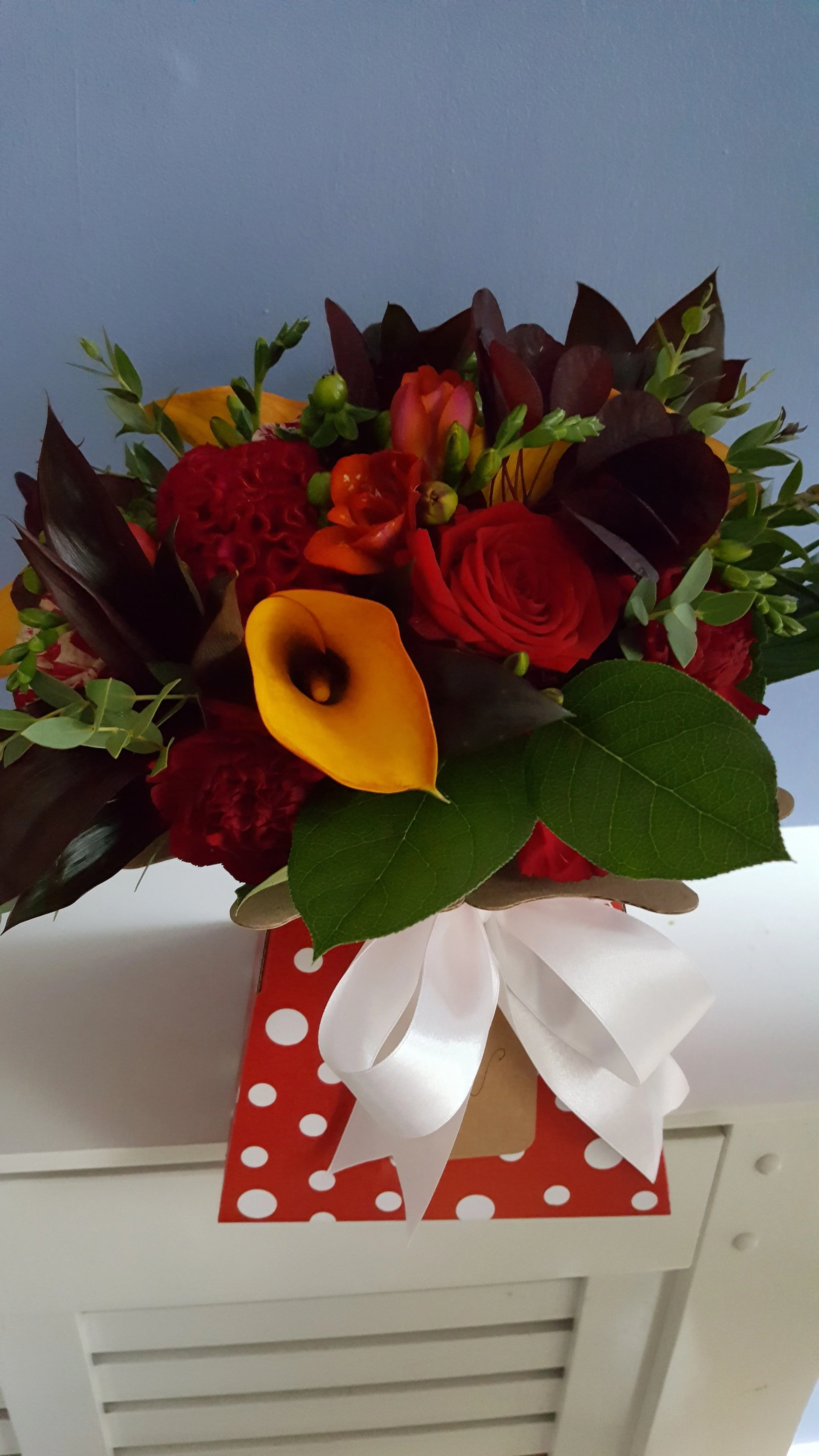 2017-10-26 17.32.43.jpg