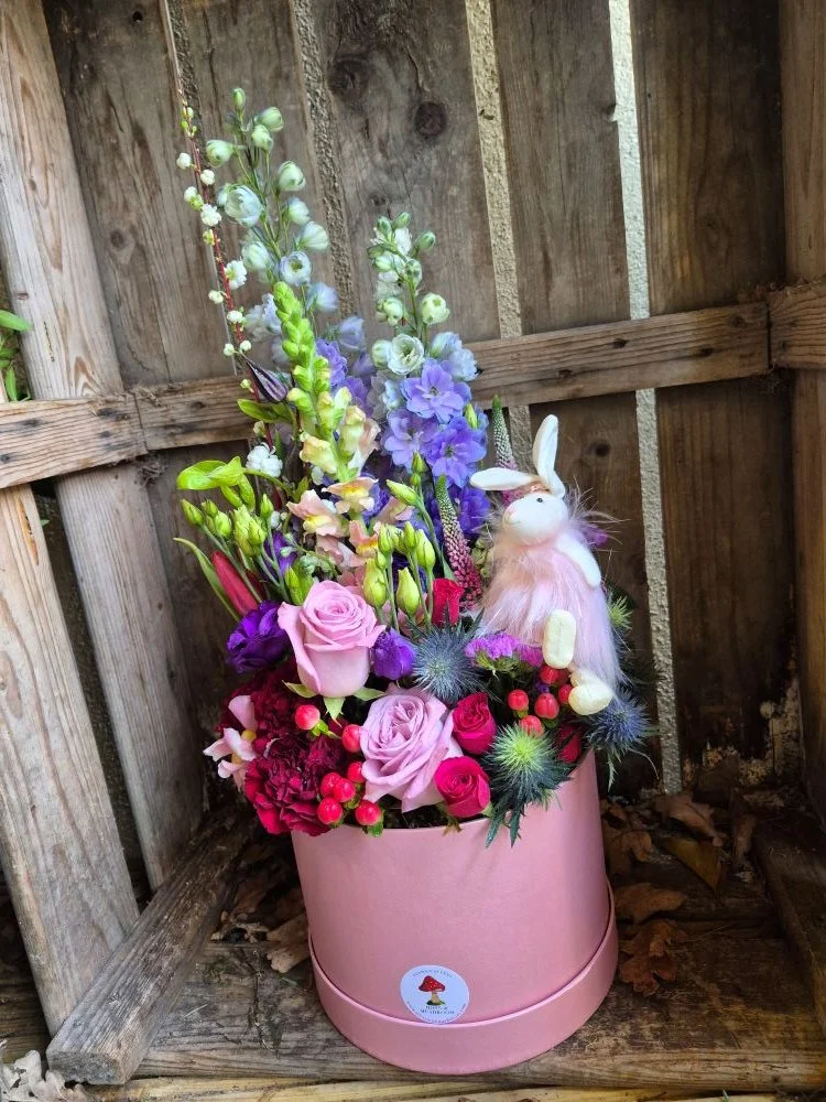 2026-02-19 14.29.21.jpg