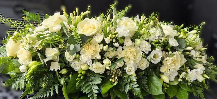 2026-02-23 10.20.18.jpg