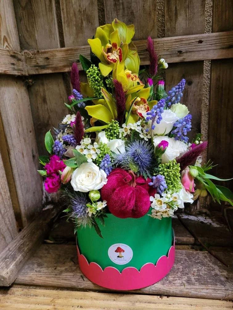 2025-10-18 14.23.12.jpg