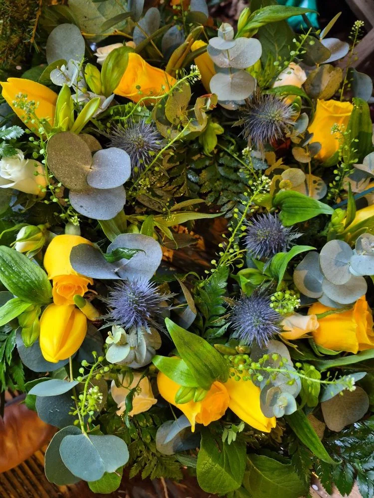 2026-01-30 12.18.10.jpg