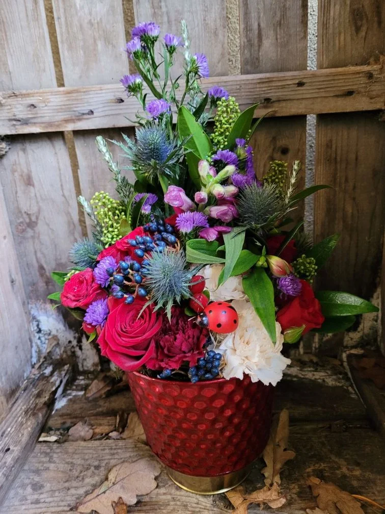 2025-11-27 12.49.47.jpg