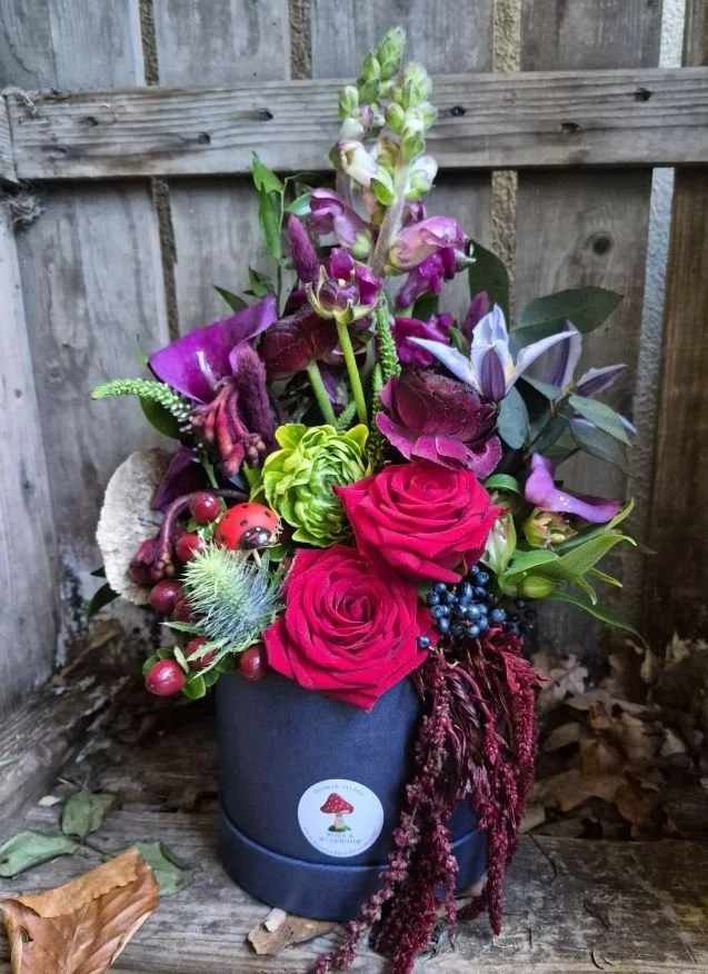 2026-01-15 10.44.43.jpg