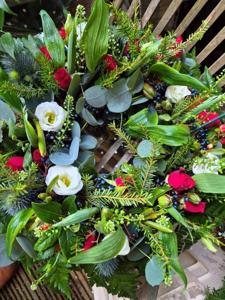 2026-01-30 12.18.06.jpg