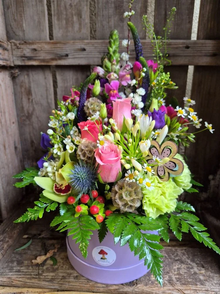 2026-02-24 12.09.16.jpg