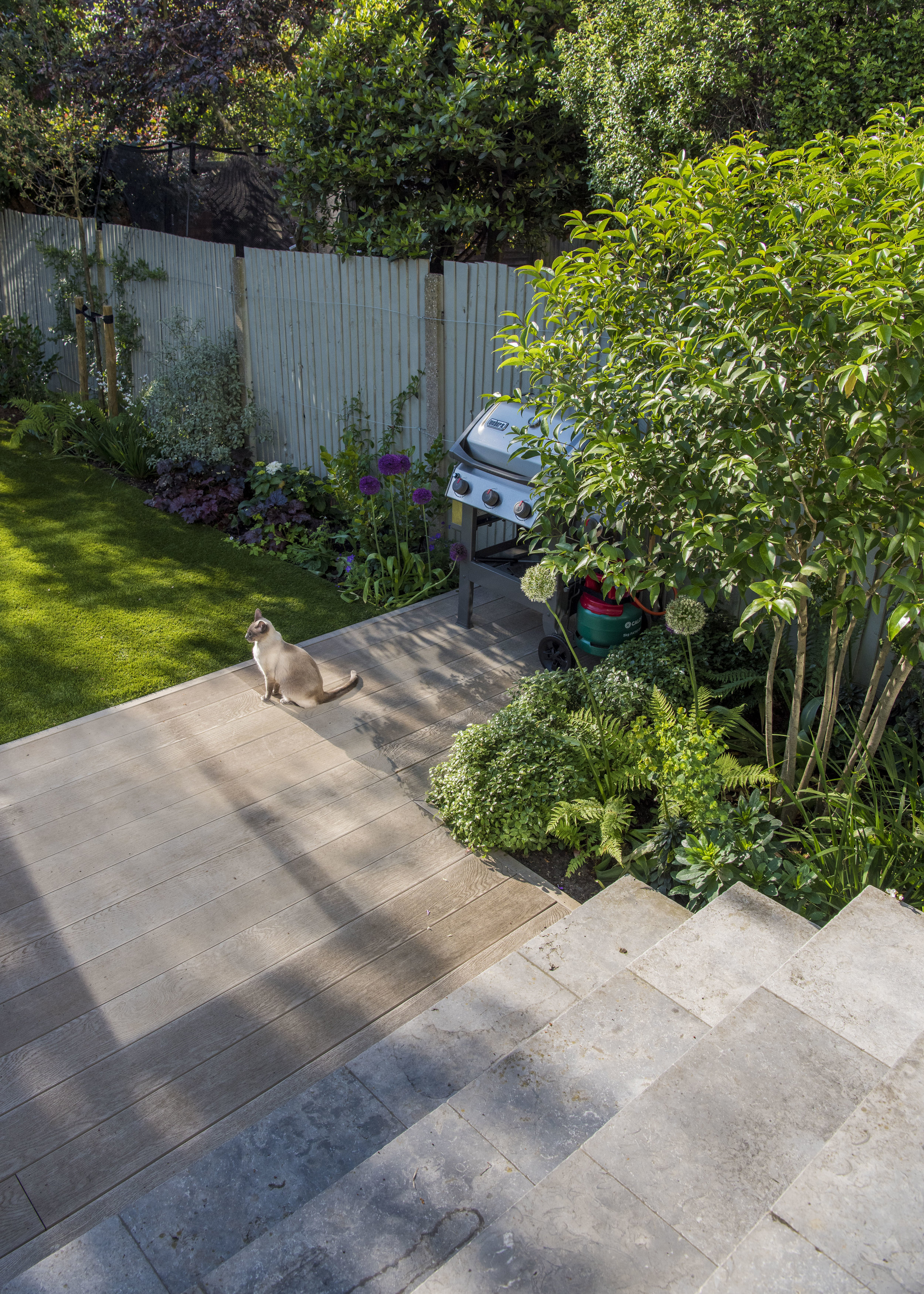 Acton Sun Terrace Garden Joanna Archer Design Acton Sun Terrace Garden Joanna