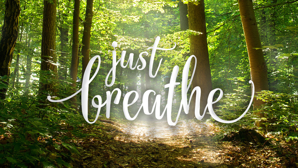 justbreatheforest.jpg