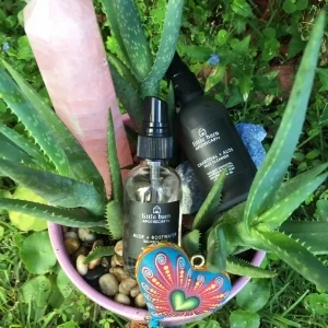 little barn charcoal cleanser .jpg