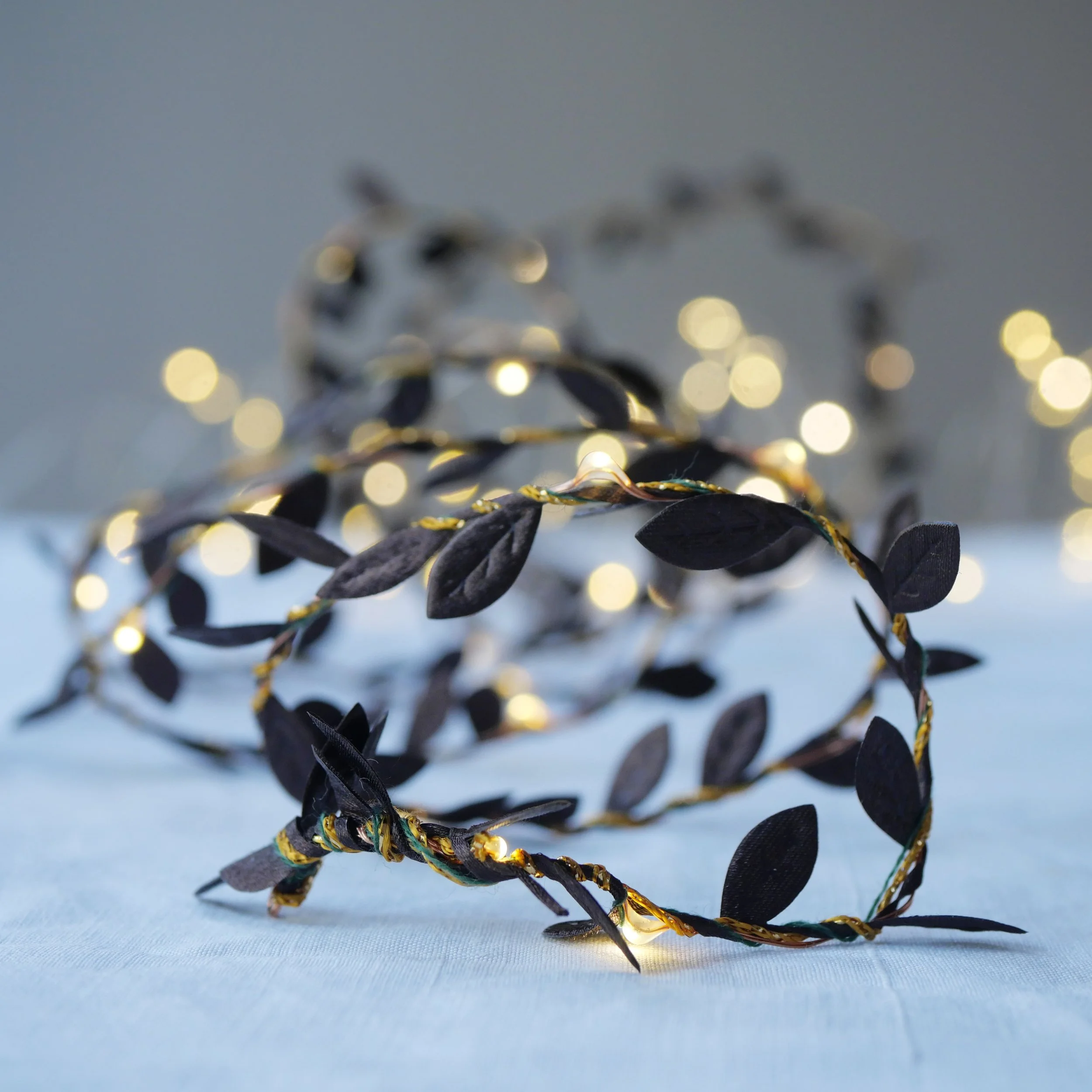 MelaniePorter_Fall fairy lights7.jpg