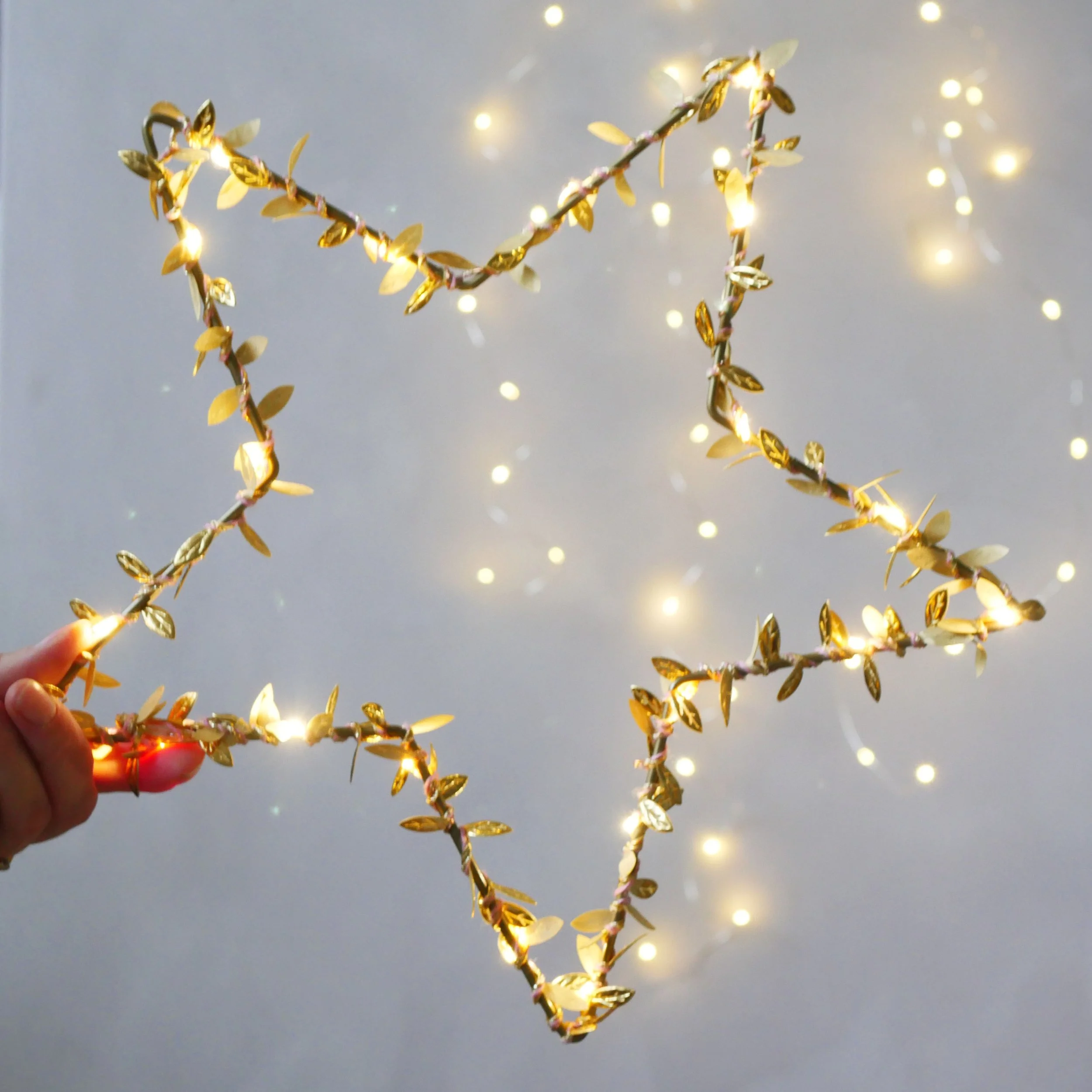 MelaniePorter_Goldleafstar6.jpg
