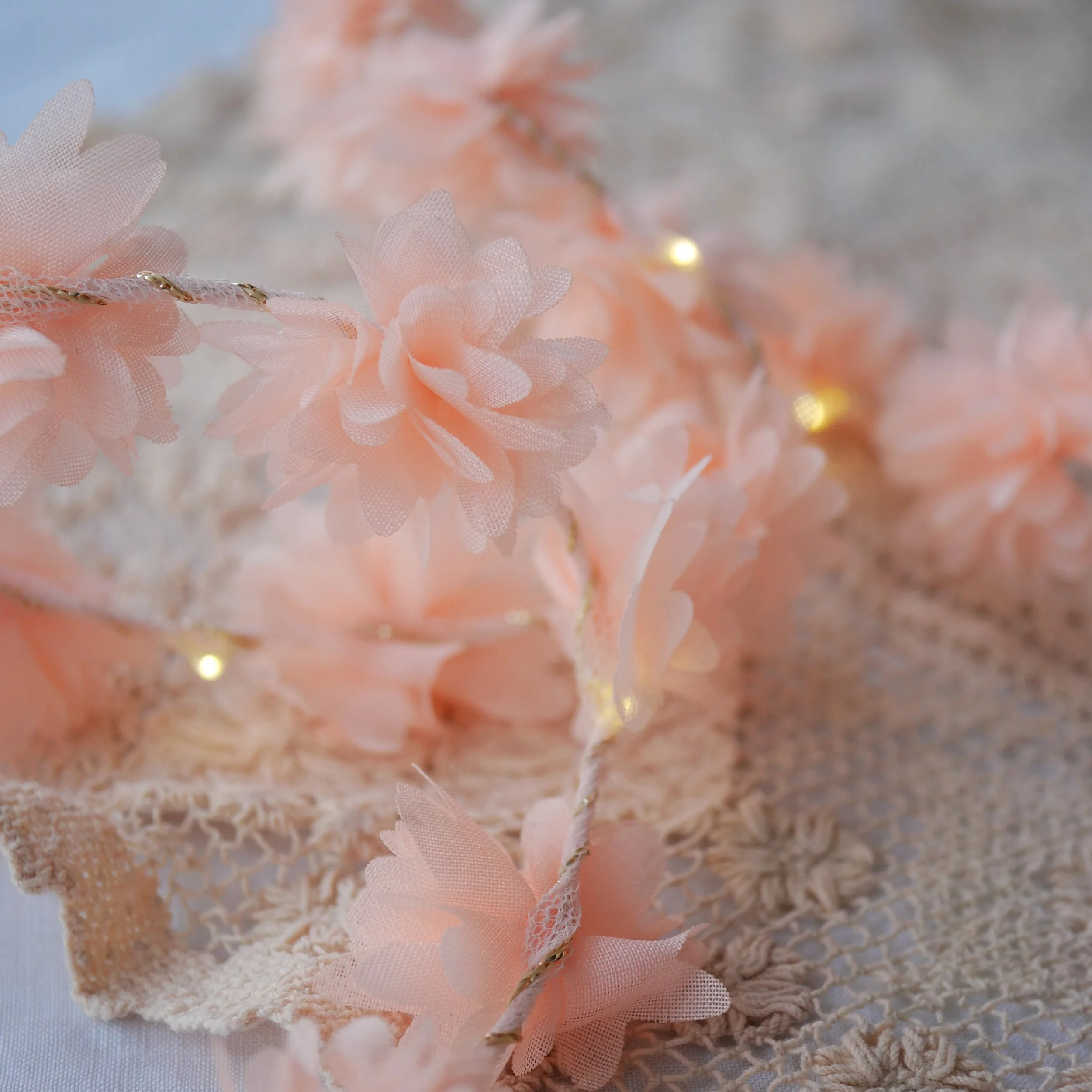 Cornflower Strings_Apricot2.jpg