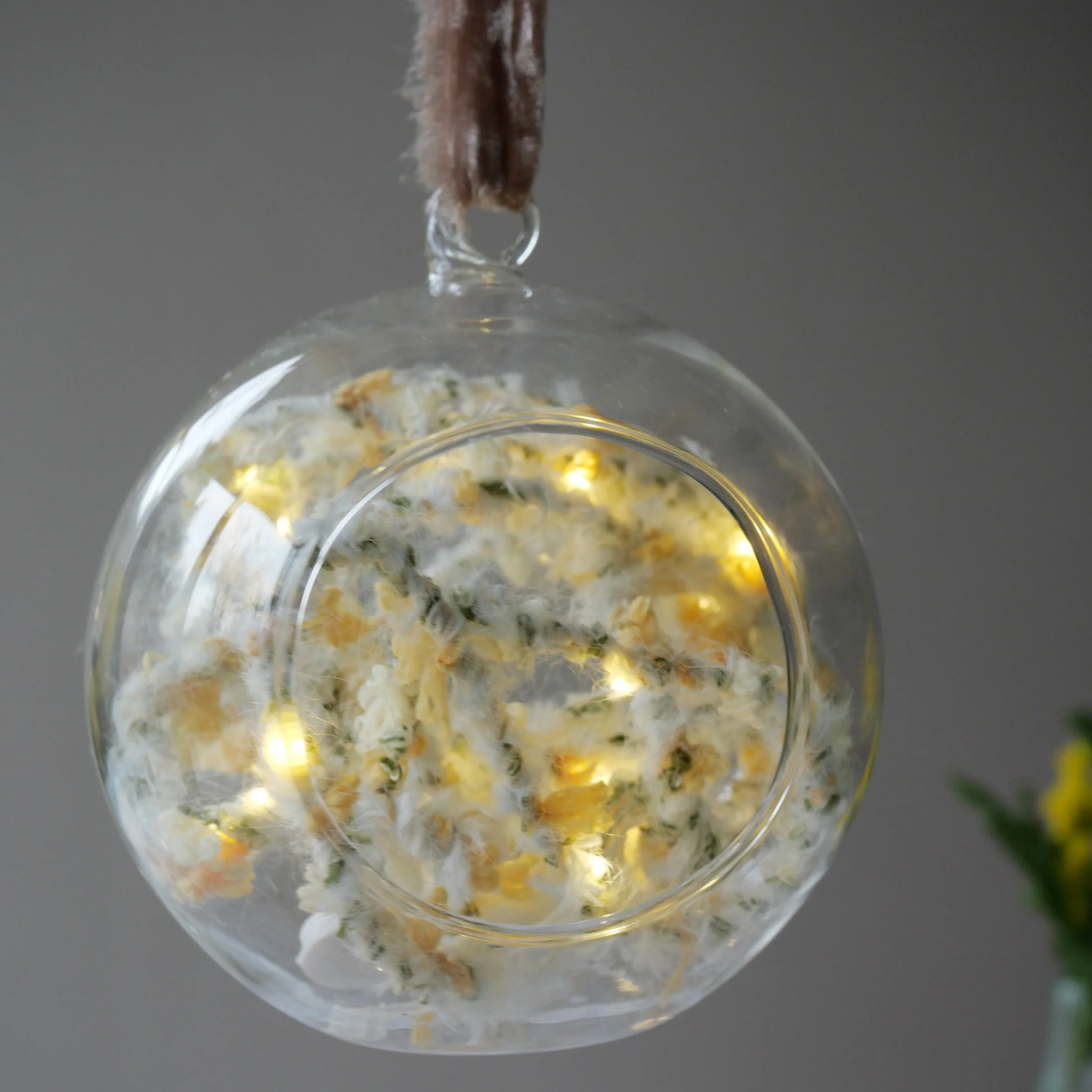 WIld Flower_Narcissi7 (1).jpg