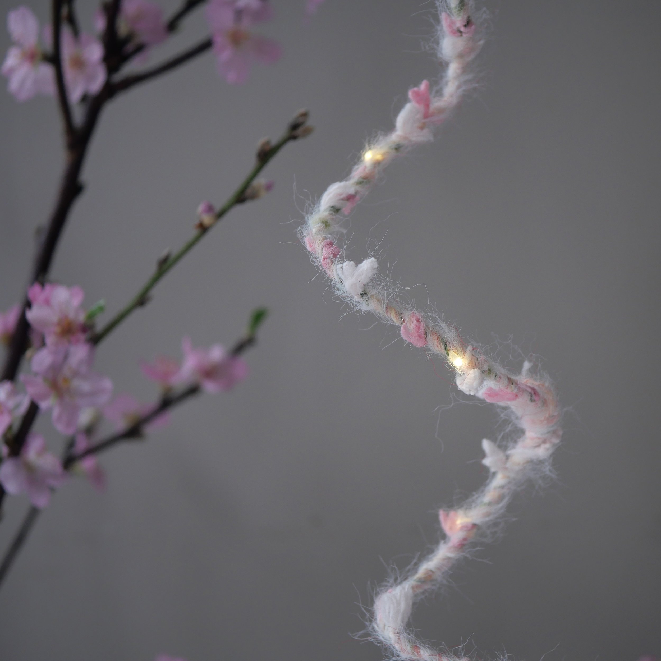 WIld Flower_Pink.jpg