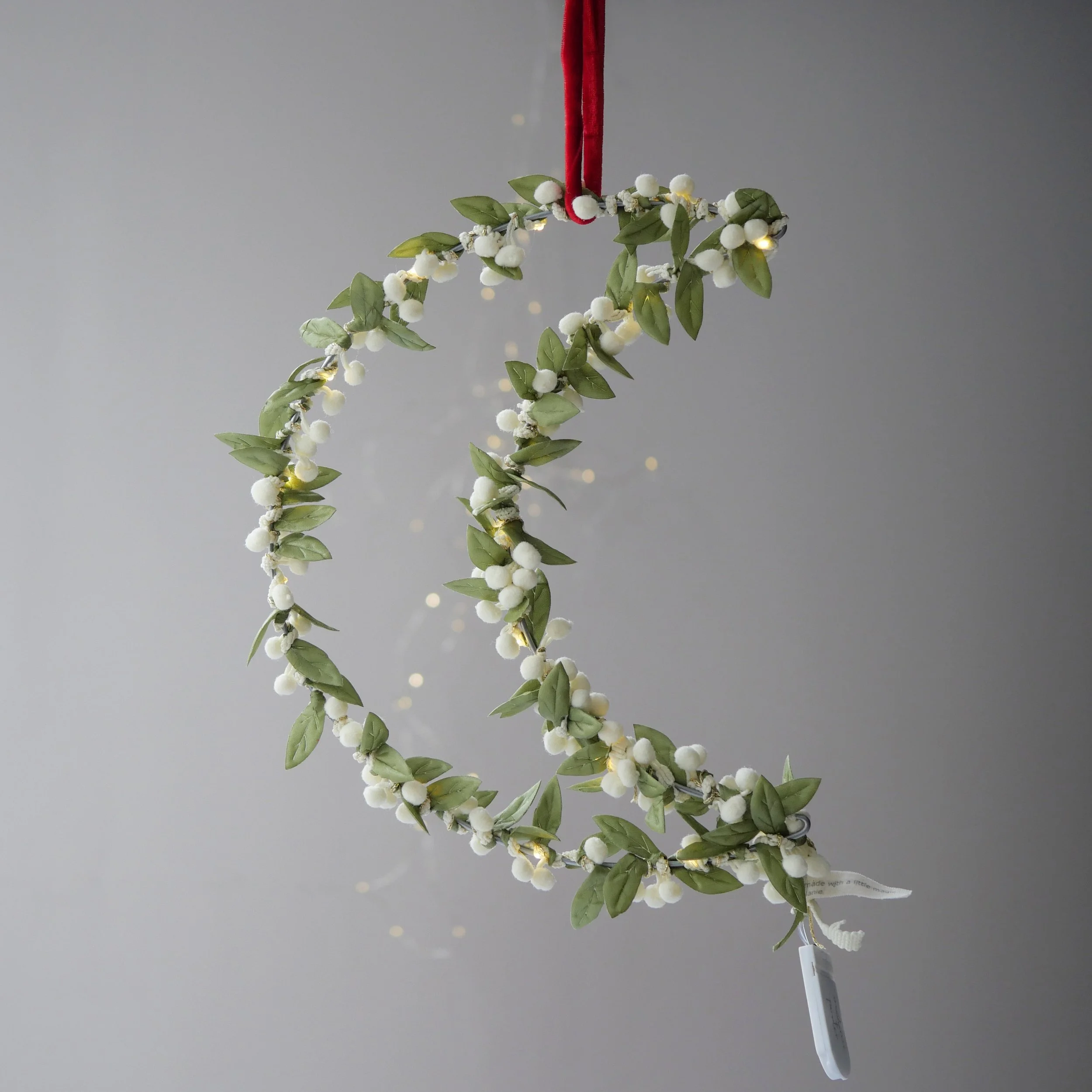 Mistletoe_moon2.jpg