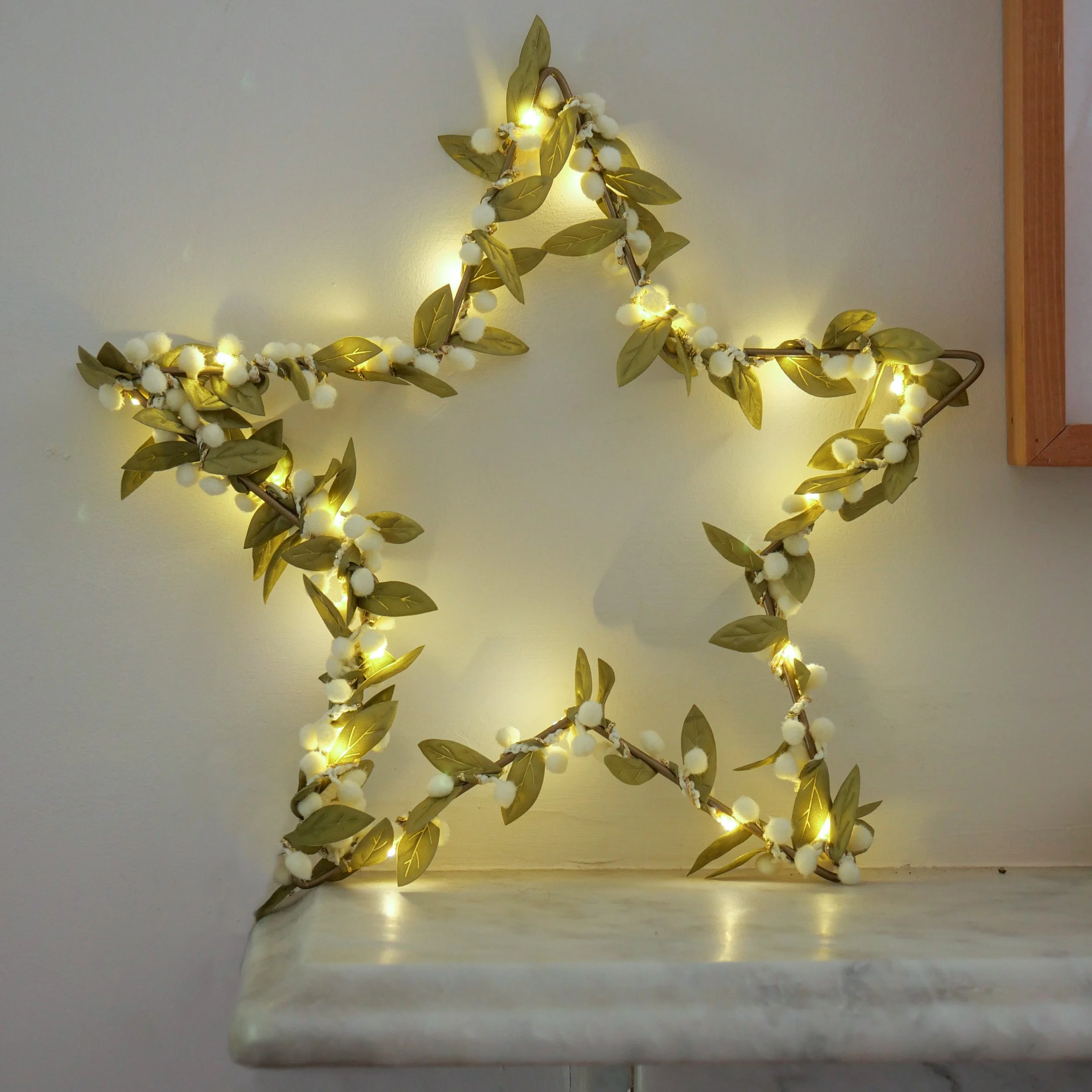 Mistletoe_Star11.jpg