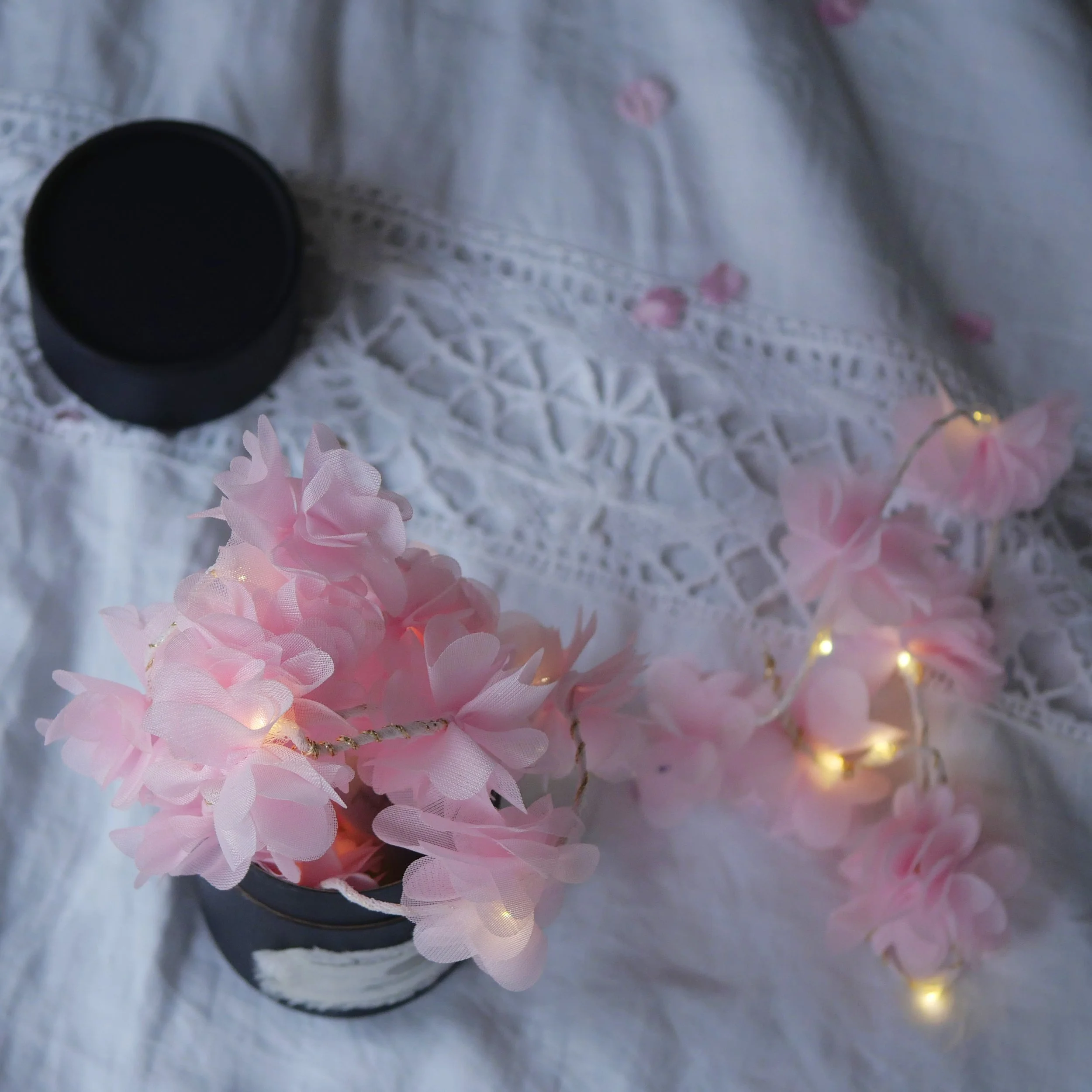 Pale Pink Petal11 (1).jpg