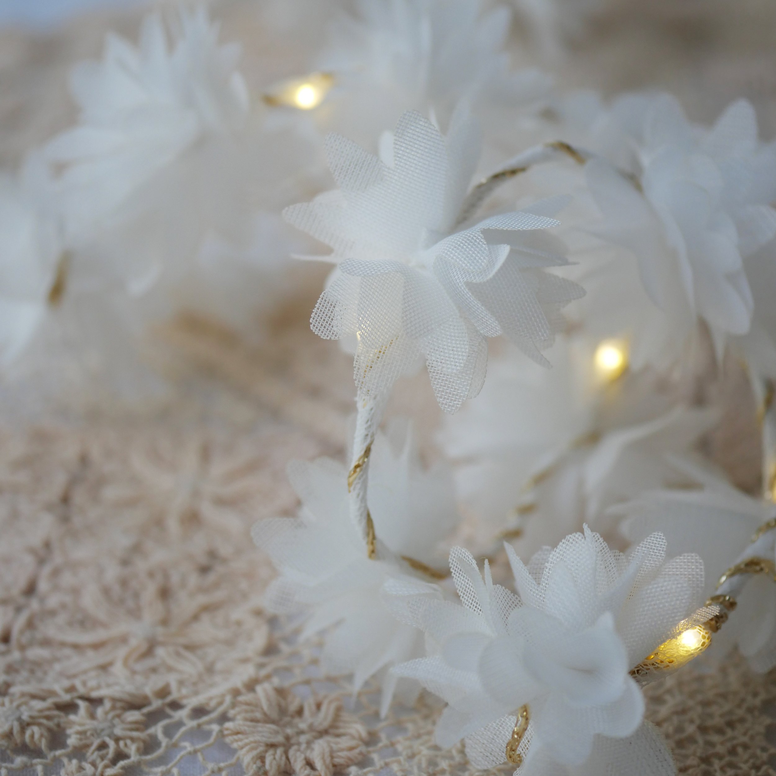 Cornflower Strings_Lace WHite2.jpg