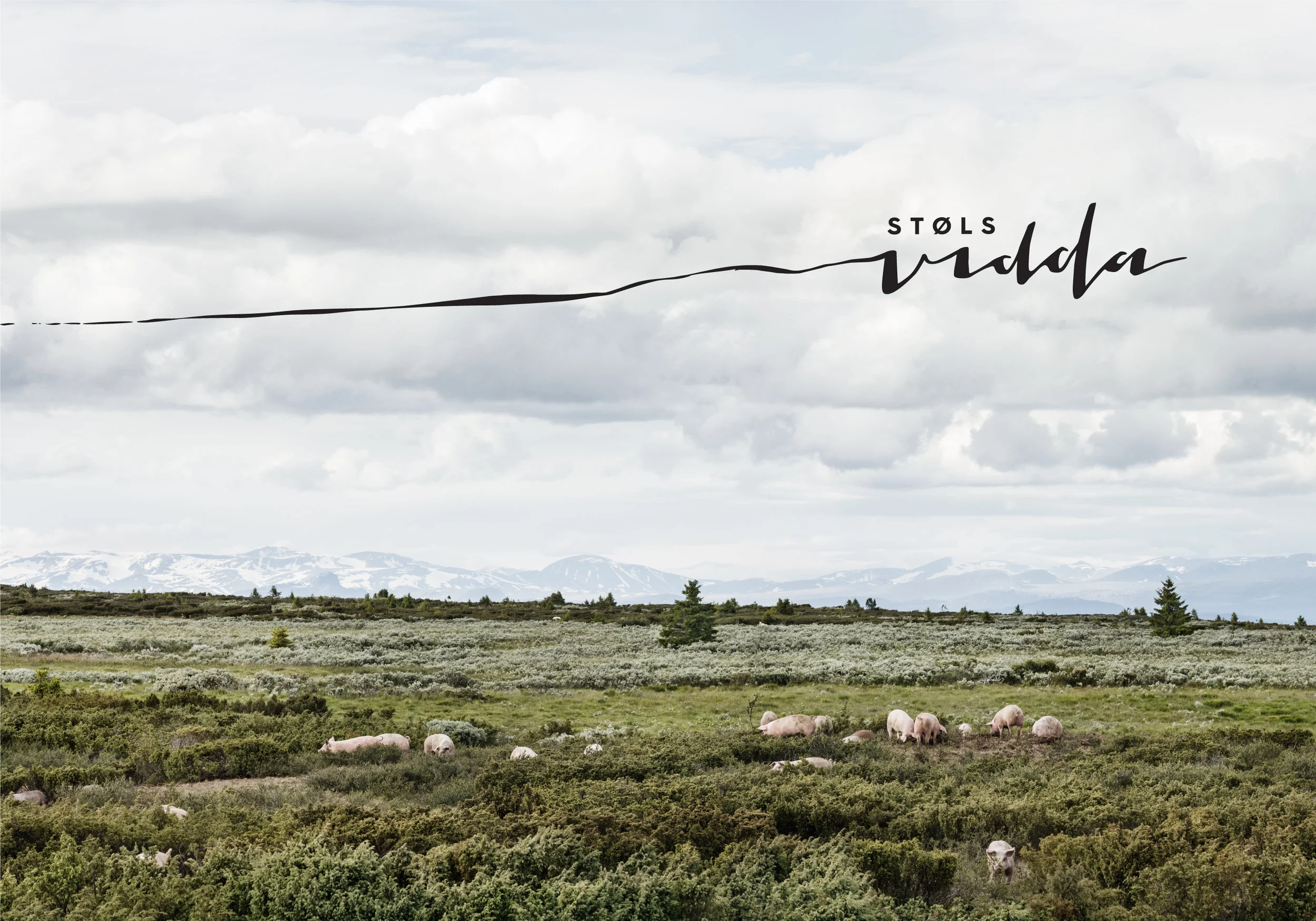 151014_Stølsvidda_MerketForGodDesign_digitalt_løsning_1.jpg