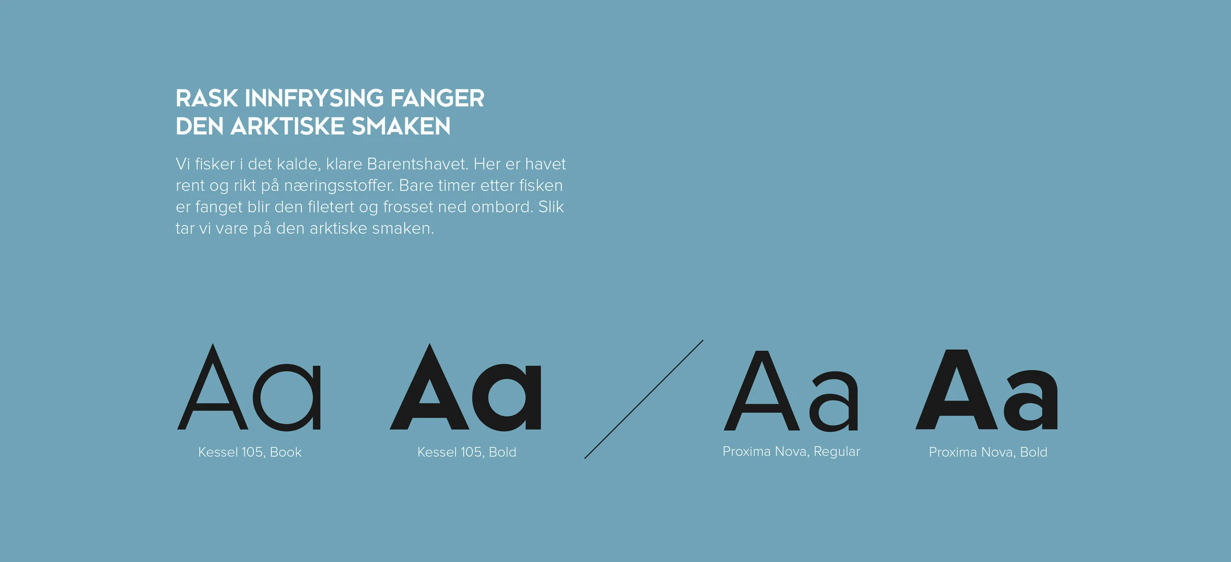 ramoen_typo_design_panorama_2.jpg