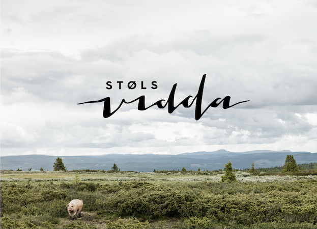 151012_Stølsvidda_MerketForGodDesign_digitalt-10-10.png