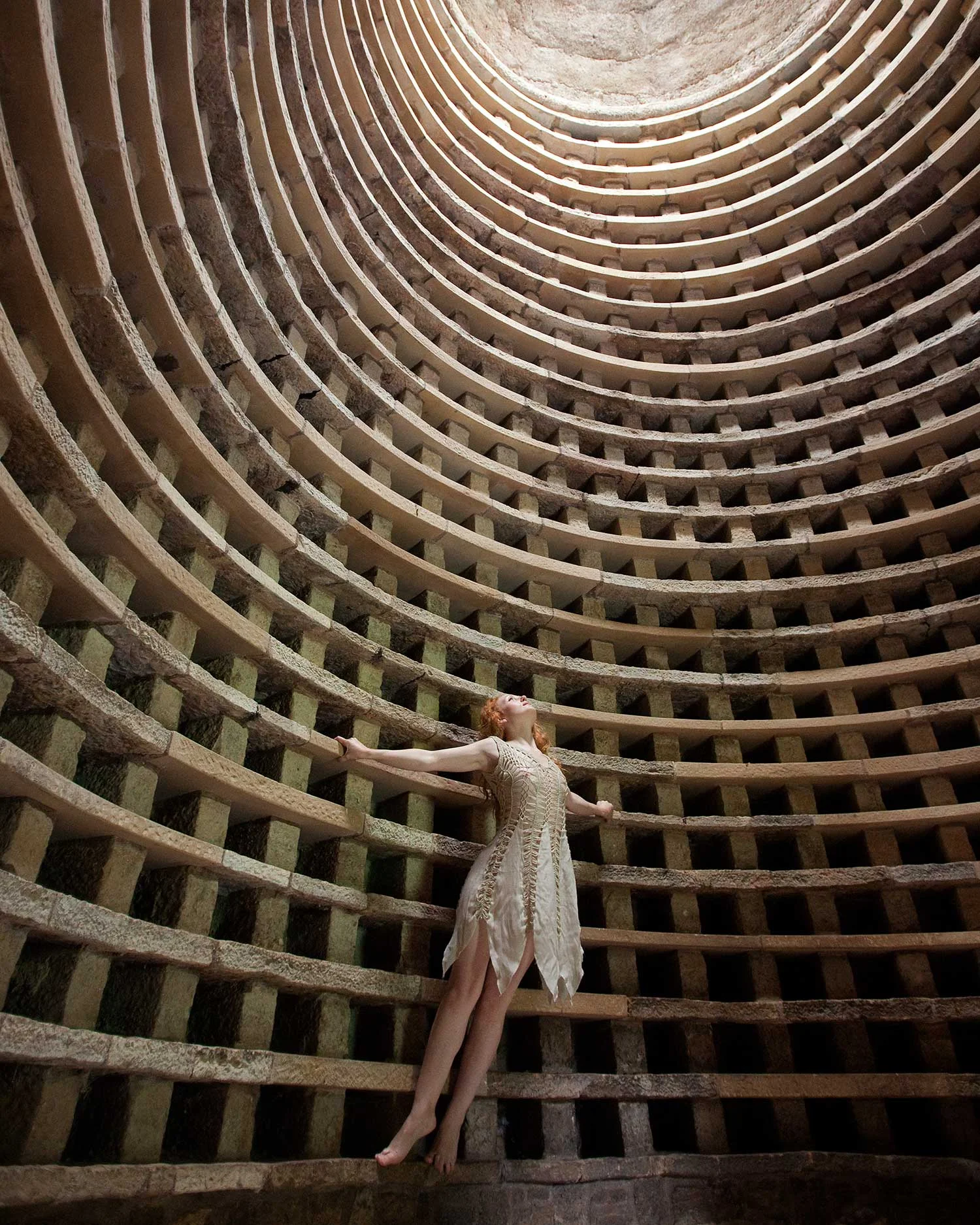 Ascending dove I