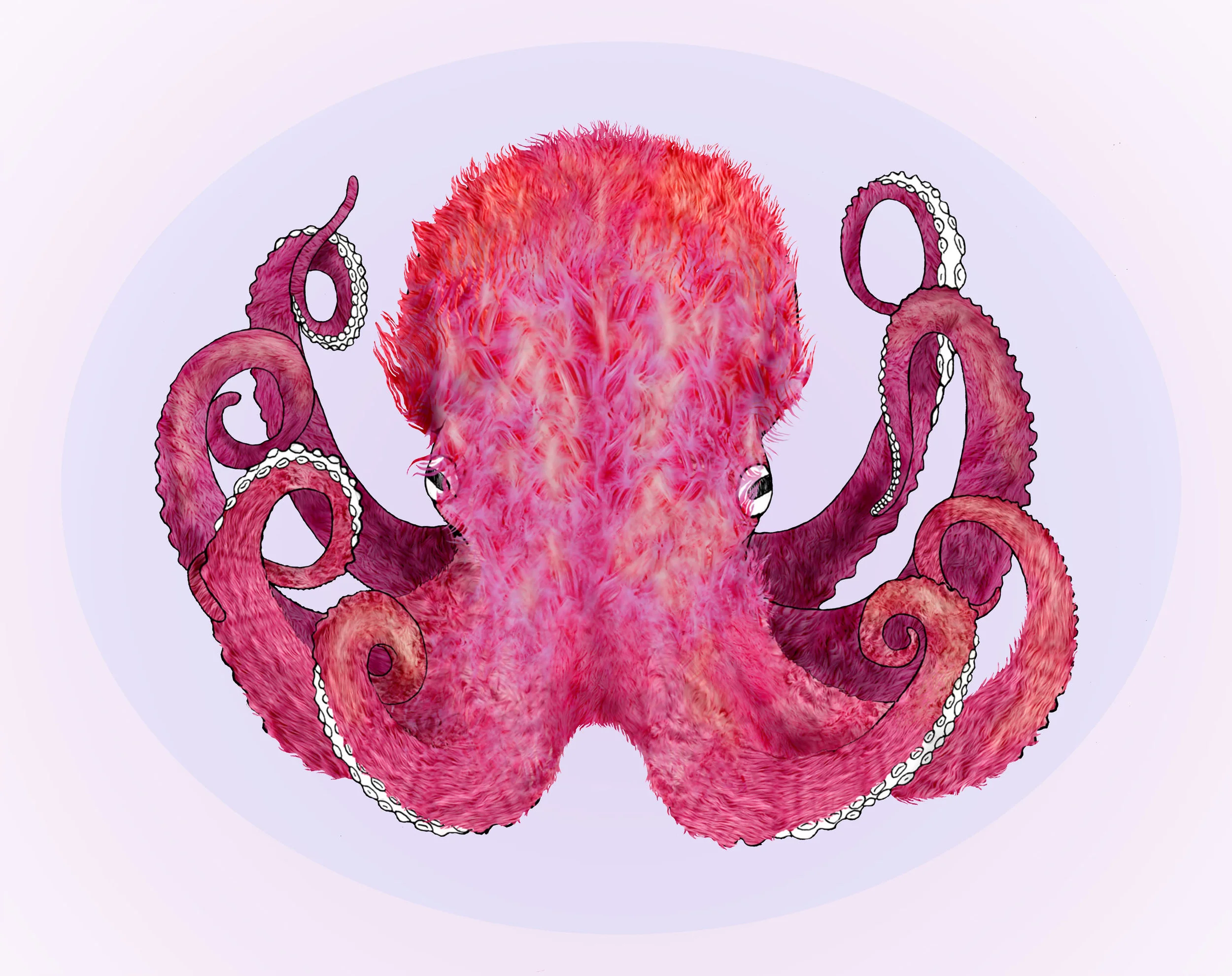 Furry Octopus