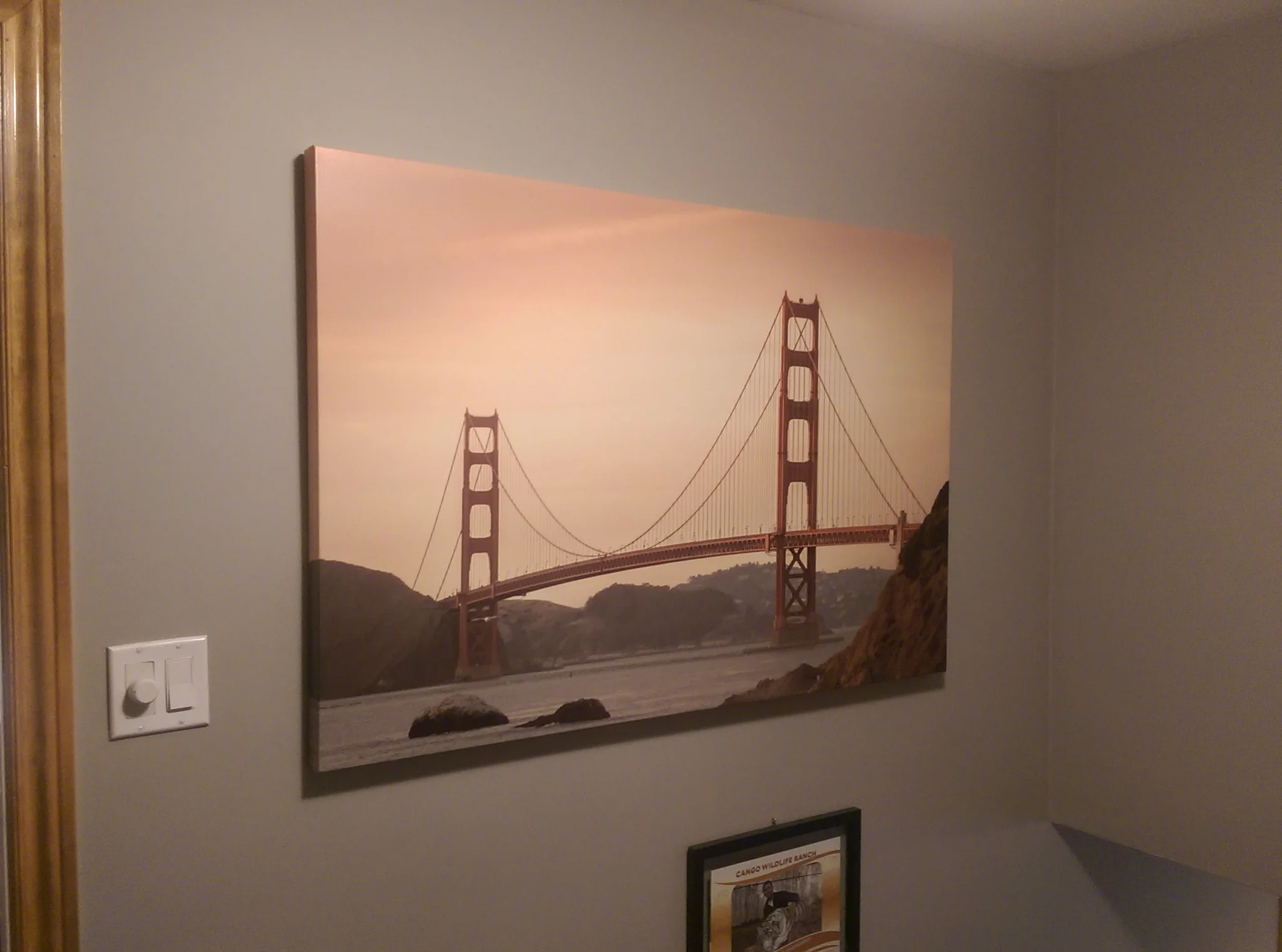 IMAG0823.jpg